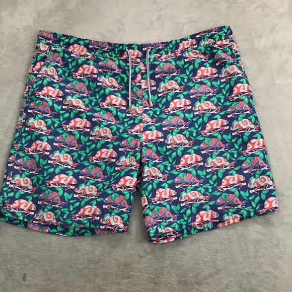 Peter Millar Other - Peter Millar Seaside Collection Iguana Swim Shorts Size L